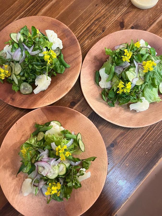 Vegetarian House Jamoo Hotel Yamanakako Ngoại thất bức ảnh